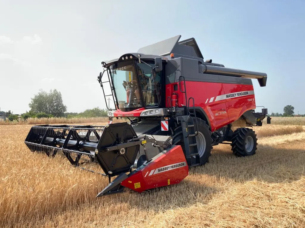 Mietitrebbia Massey Ferguson nel frumento