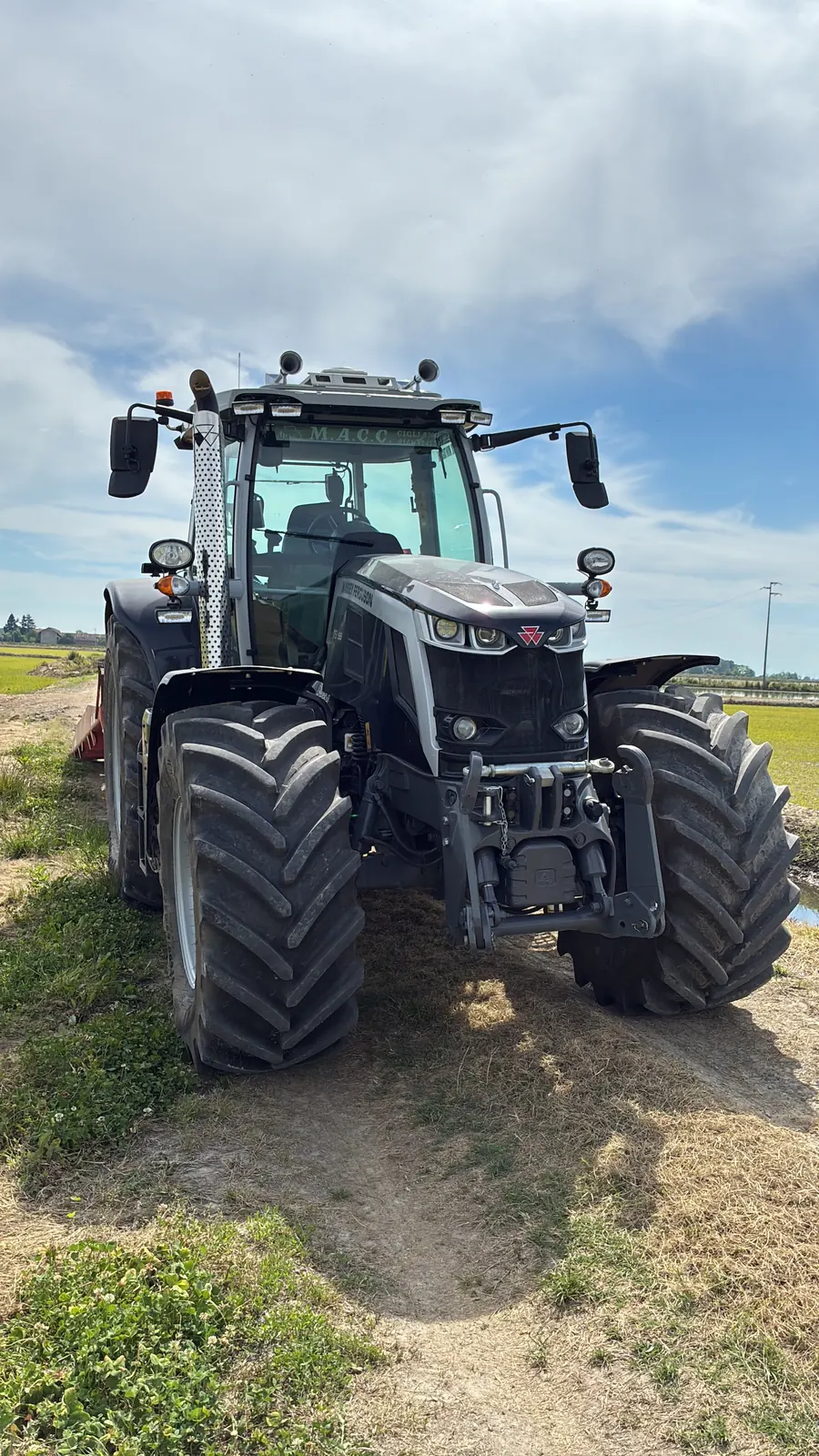 MF 8S in risaia