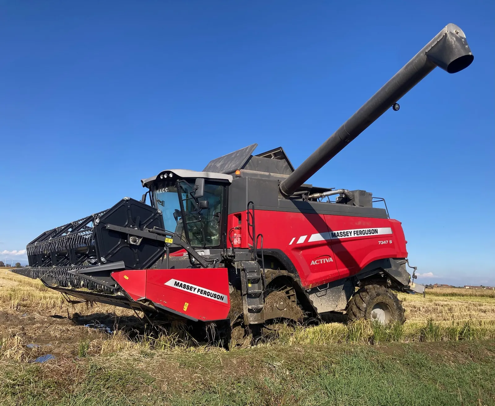 Mietitrebbia Massey Ferguson MF ACTIVA cingolata in risaia