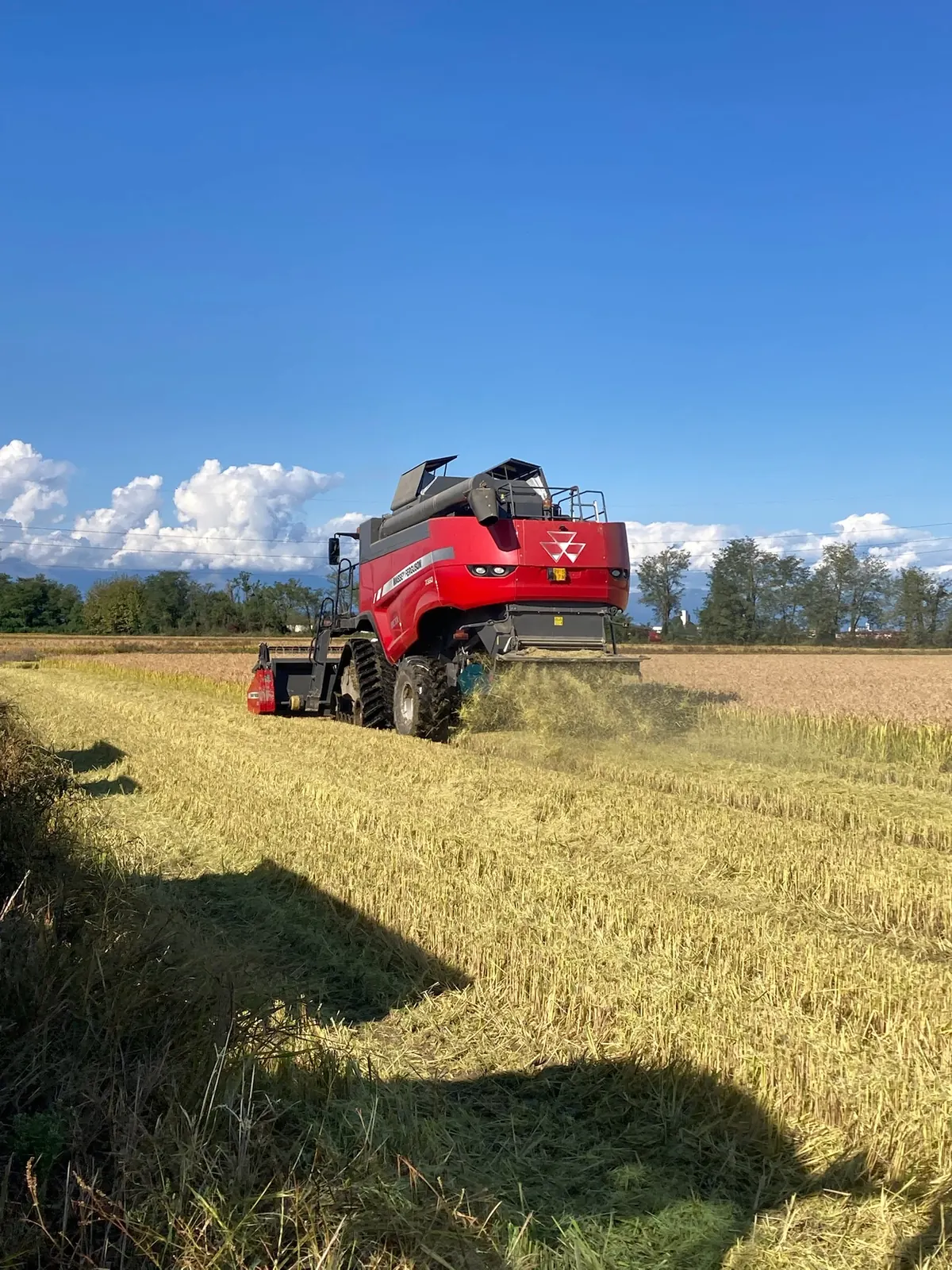 Mietitrebbia in campo