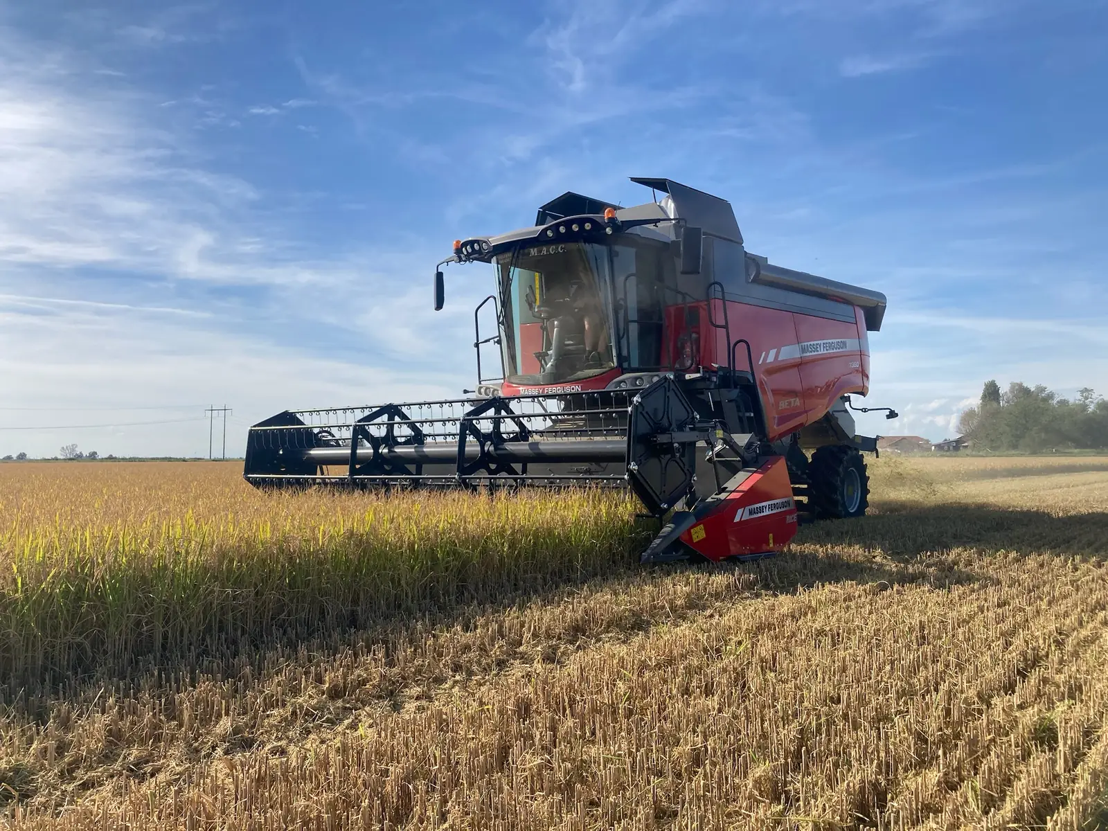 Mietitrebbia Massey Ferguson nel riso