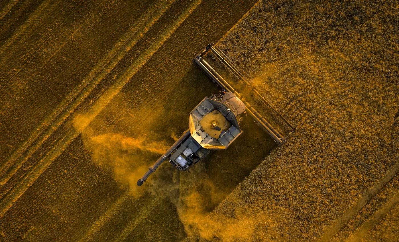 Mietitrebbia MF IDEAL vista da drone